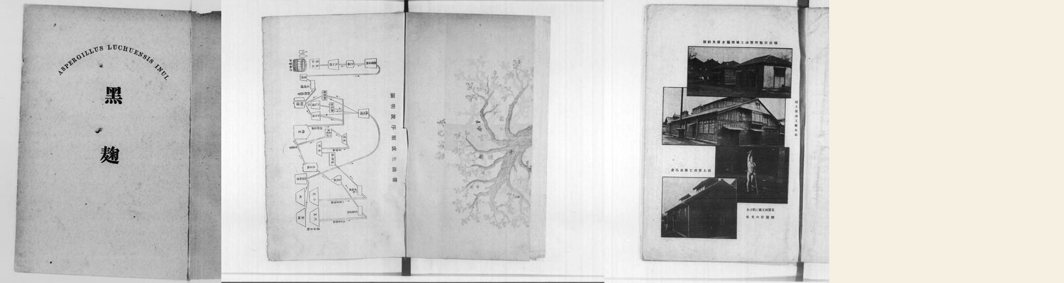 Three details from forthcoming editions: Kuro-Kōji inner title, shoyu production flowchart, period photographs of a brewery